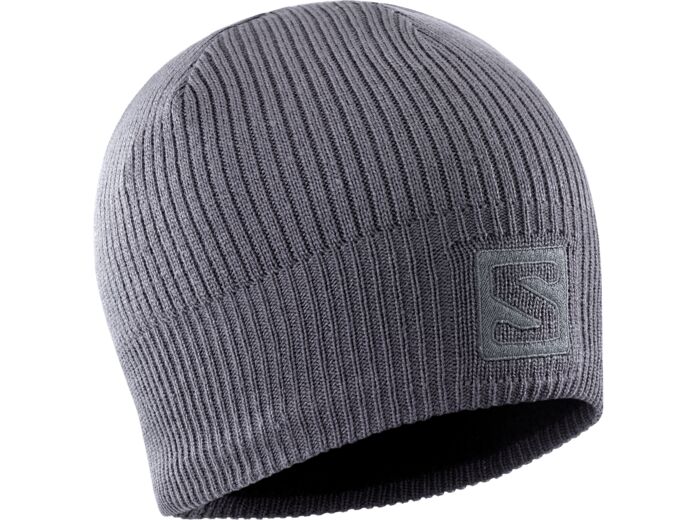 Logo Beanie Periscope Dark Cloud