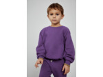 Sweat enfant Izubird