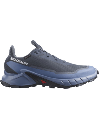 Alphacross 5 Gtx - Chaussure De Running Polyvalente Bering Sea Blue Bonnet India Ink