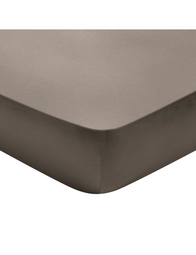 Drap housse Partition Satin de coton Coloris Taupe