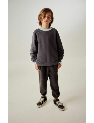 Sweat enfant Izubird