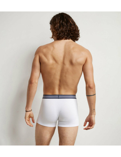 Boxer homme en coton modal à ceinture rayée Blanc Dim Smart