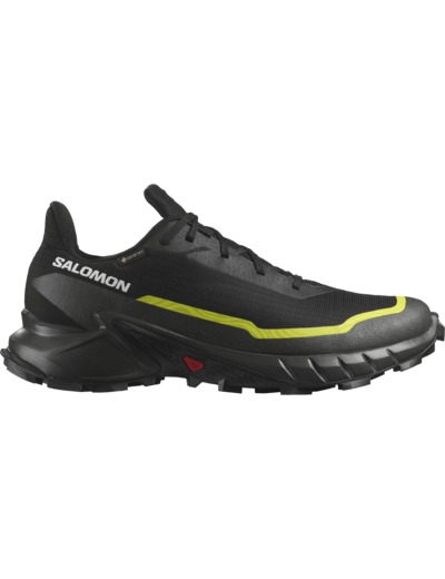 Alphacross 5 Gtx - Chaussure De Running Polyvalente Black Peat Sulphur Spring