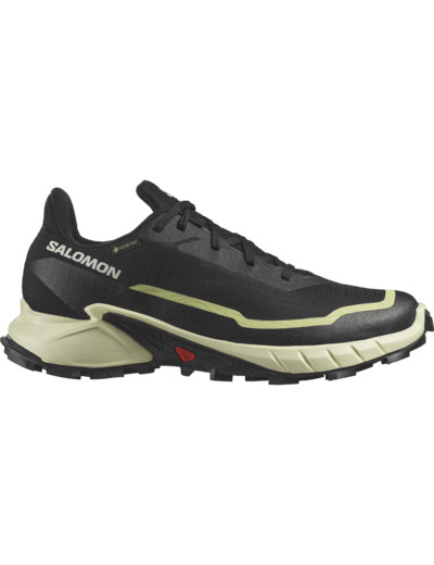 Alphacross 5 Gtx - Chaussure De Running Polyvalente Black Transparent Yellow Sunny Lime