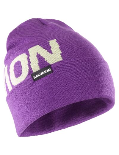 Hermitage Beanie Royal Purple